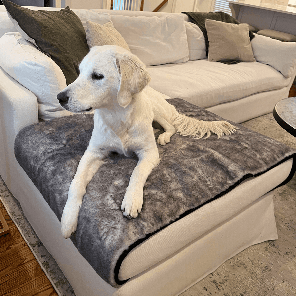 PupProtector™ Luxe Waterproof Dog Bed Runner - Chinchilla - American Bark Bliss