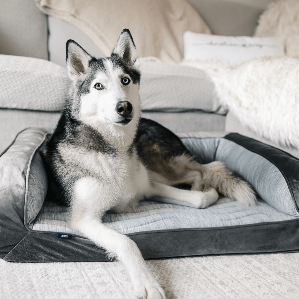 PupChill Cooling Bolster Bed for Dogs - American Bark Bliss