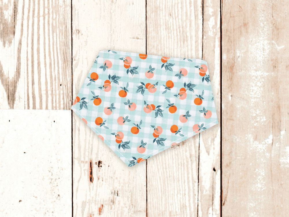 "Gingham Peaches" Dog Bandana - American Bark Bliss