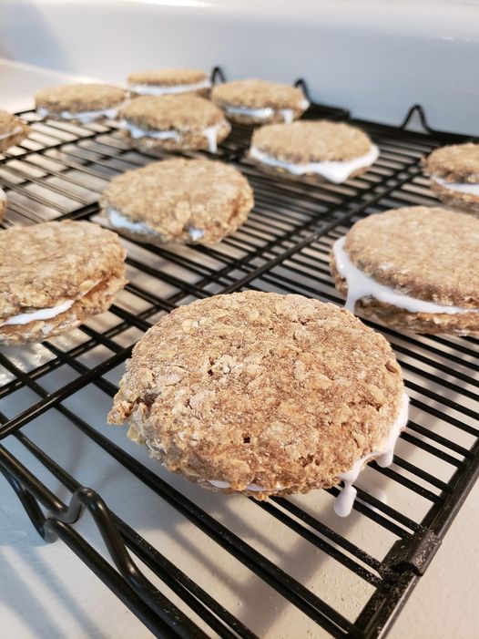 Oatmeal Organic Cream Pie Dog Treats - Organic Delight - American Bark Bliss