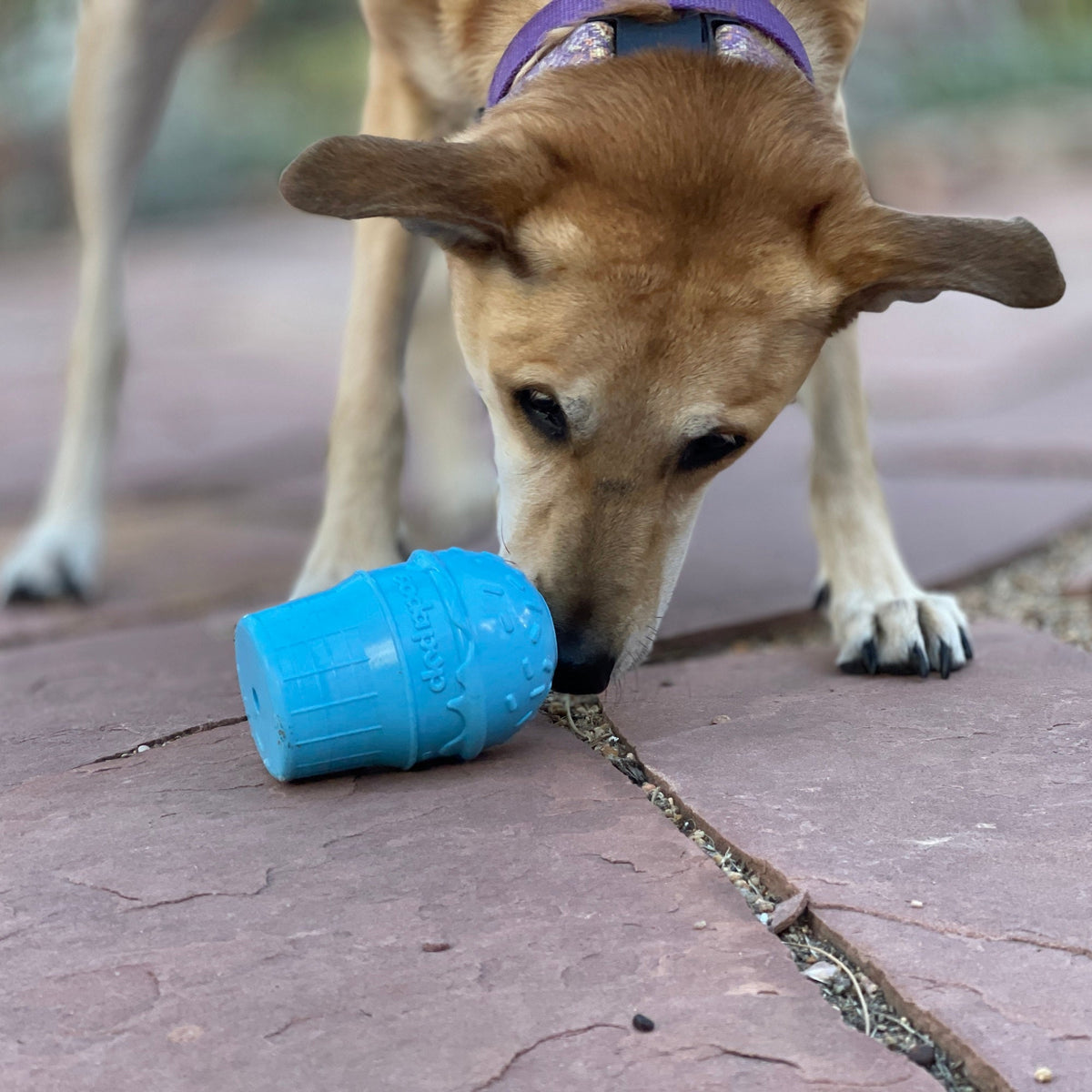 Ice Cream Cone Durable PUP-X Rubber eDispenser Chew Toy and Treat Dispenser - American Bark Bliss