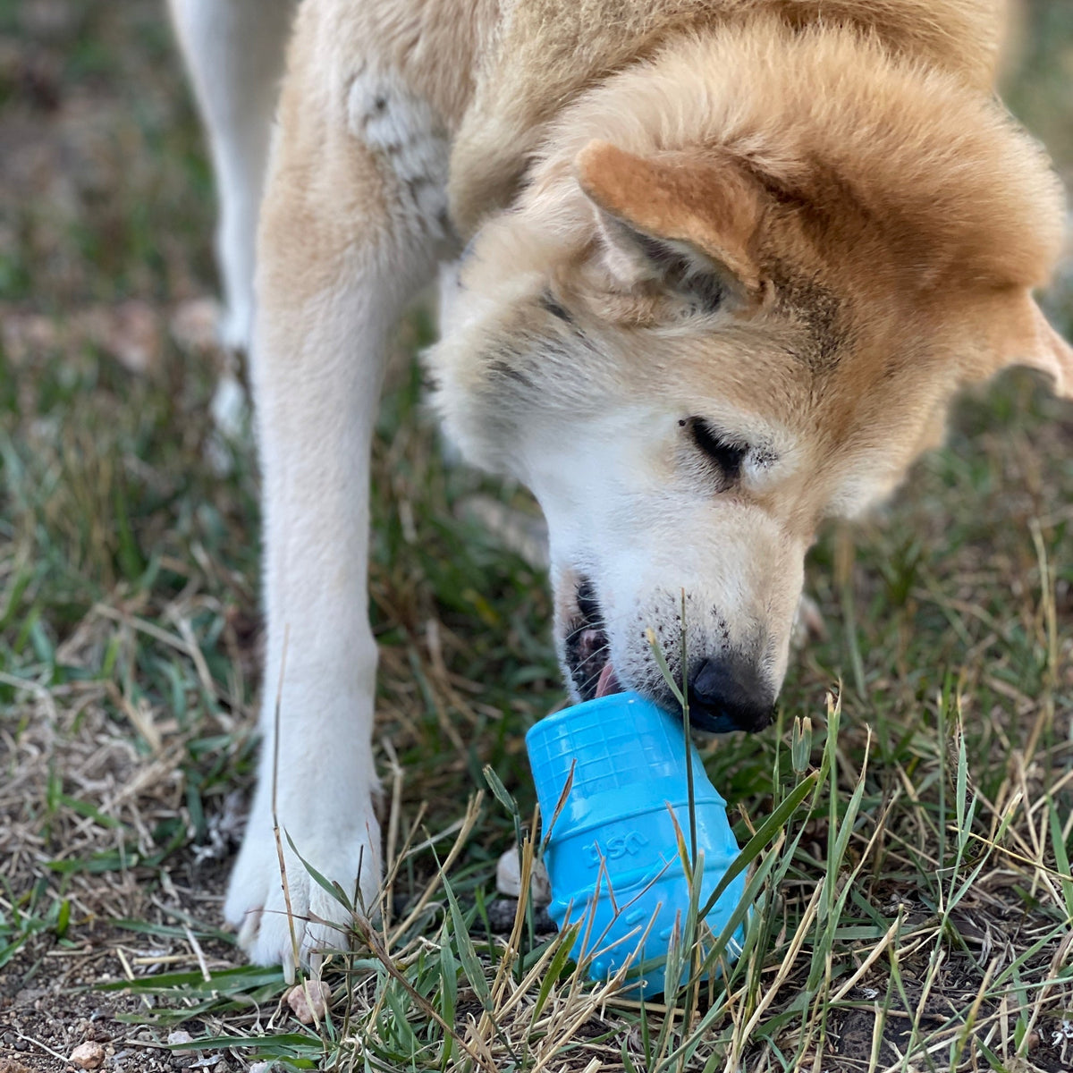 Ice Cream Cone Durable PUP-X Rubber eDispenser Chew Toy and Treat Dispenser - American Bark Bliss