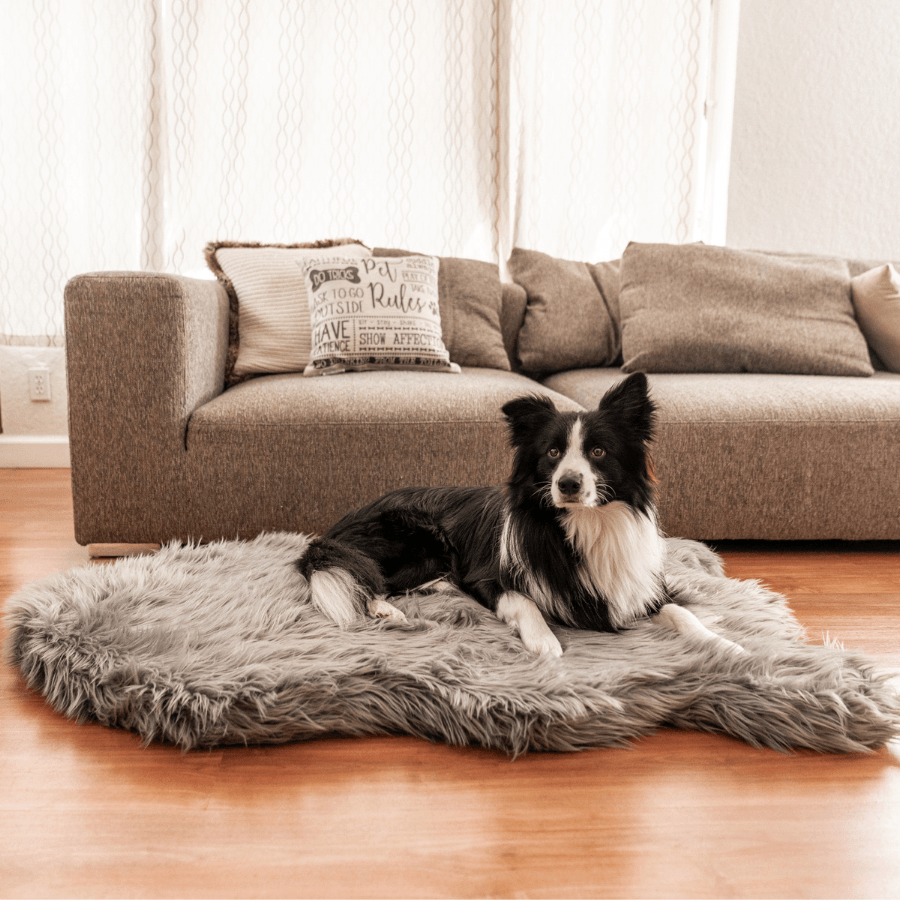 PupRug by Paw.com® Faux Fur Orthopedic Dog Bed - Curve Charcoal Grey - American Bark Bliss