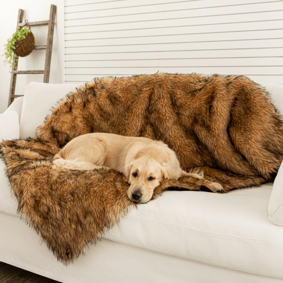 PupProtector Waterproof Dog Blanket - Sable Tan - American Bark Bliss