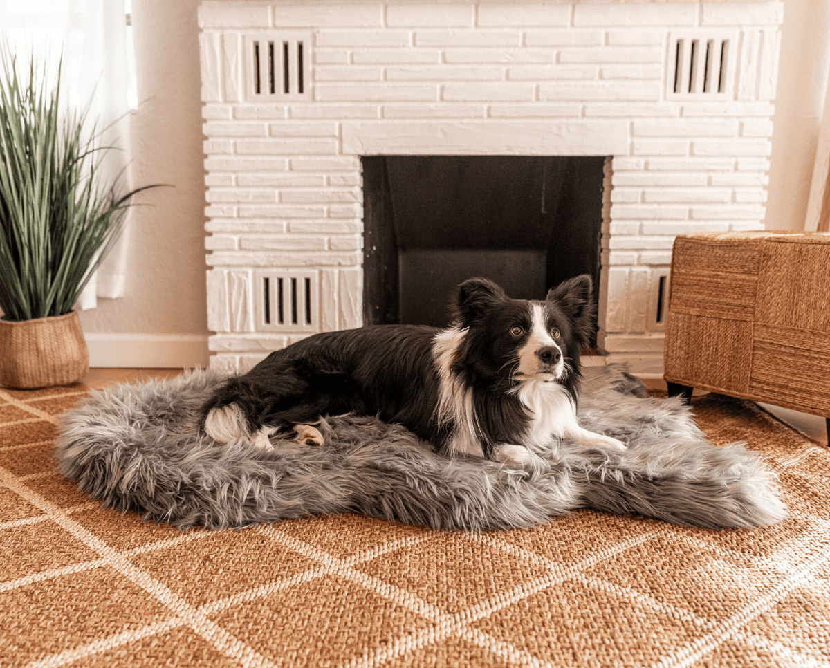 PupRug by Paw.com® Faux Fur Orthopedic Dog Bed - Curve Charcoal Grey - American Bark Bliss