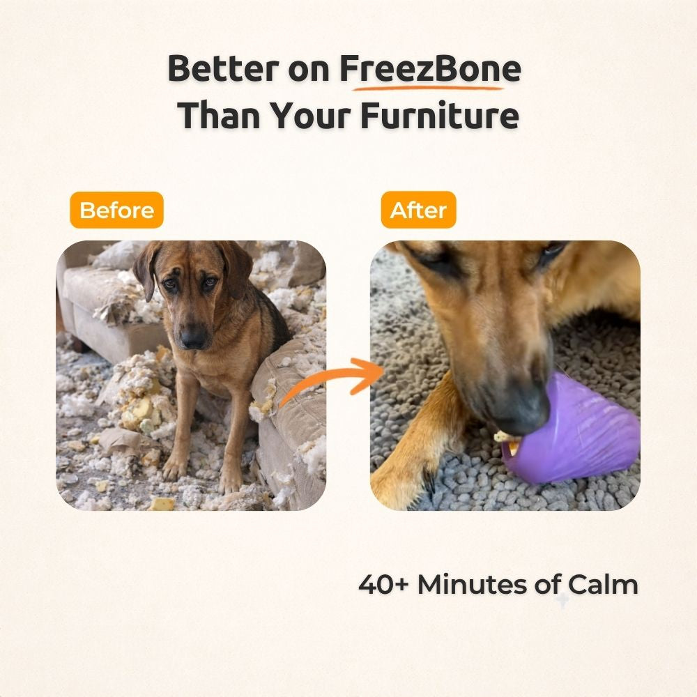 FreezCone – The Ice-Cream–Shaped Enrichment Dogs Can’t Put Down