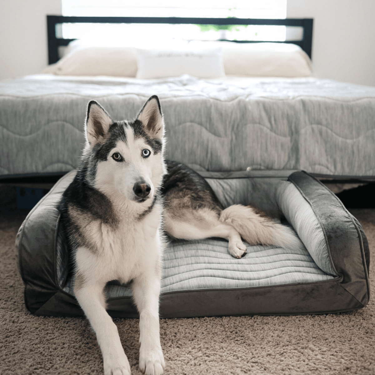 PupChill™ Cooling Dog Bed Bundle - Arctic Grey - American Bark Bliss