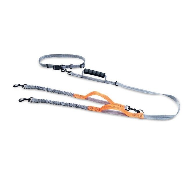 Handsfree Bungee Dog Leash for Running and Walking - American Bark Bliss