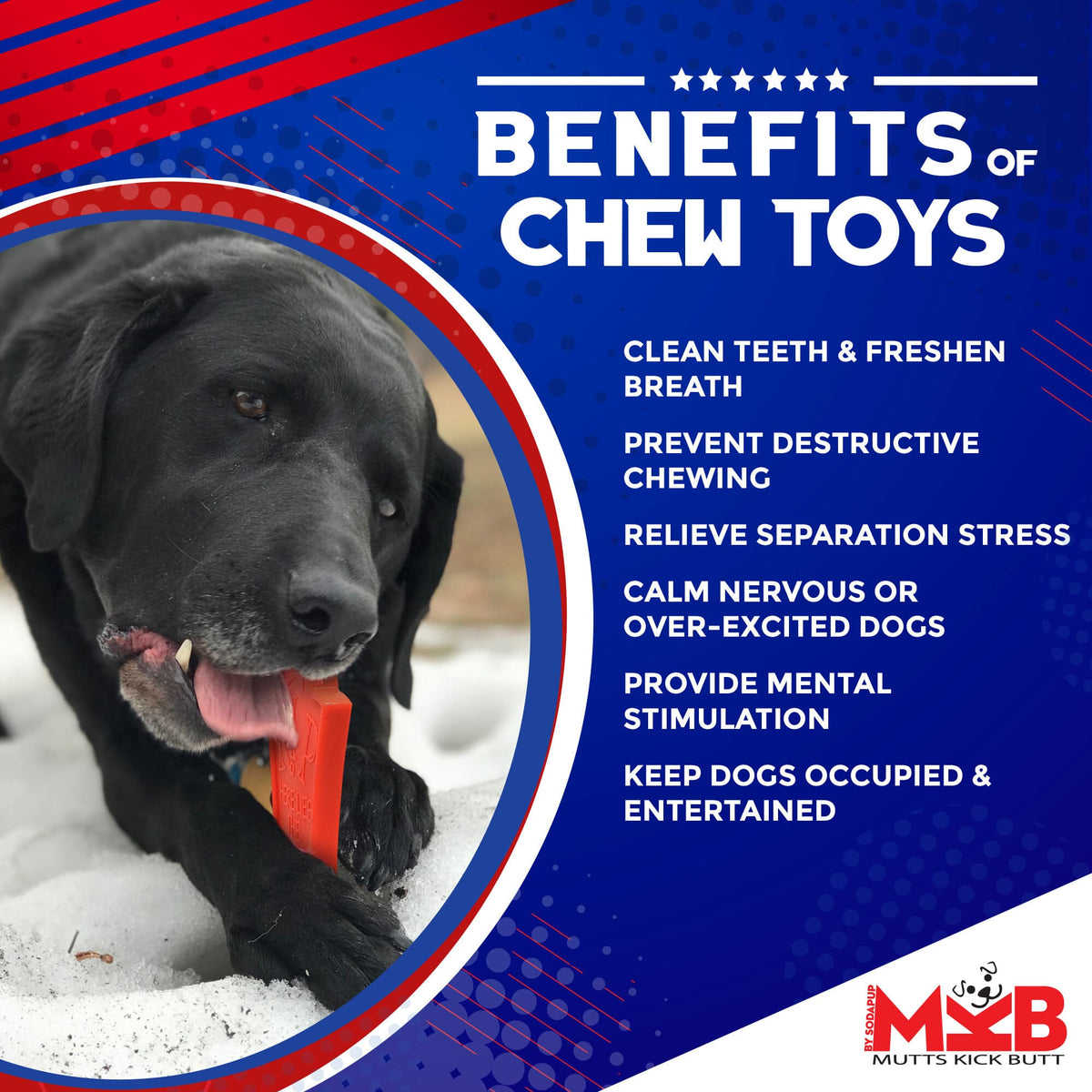 Headstone Ultra Durable Nylon Dog Chew Toy - American Bark Bliss