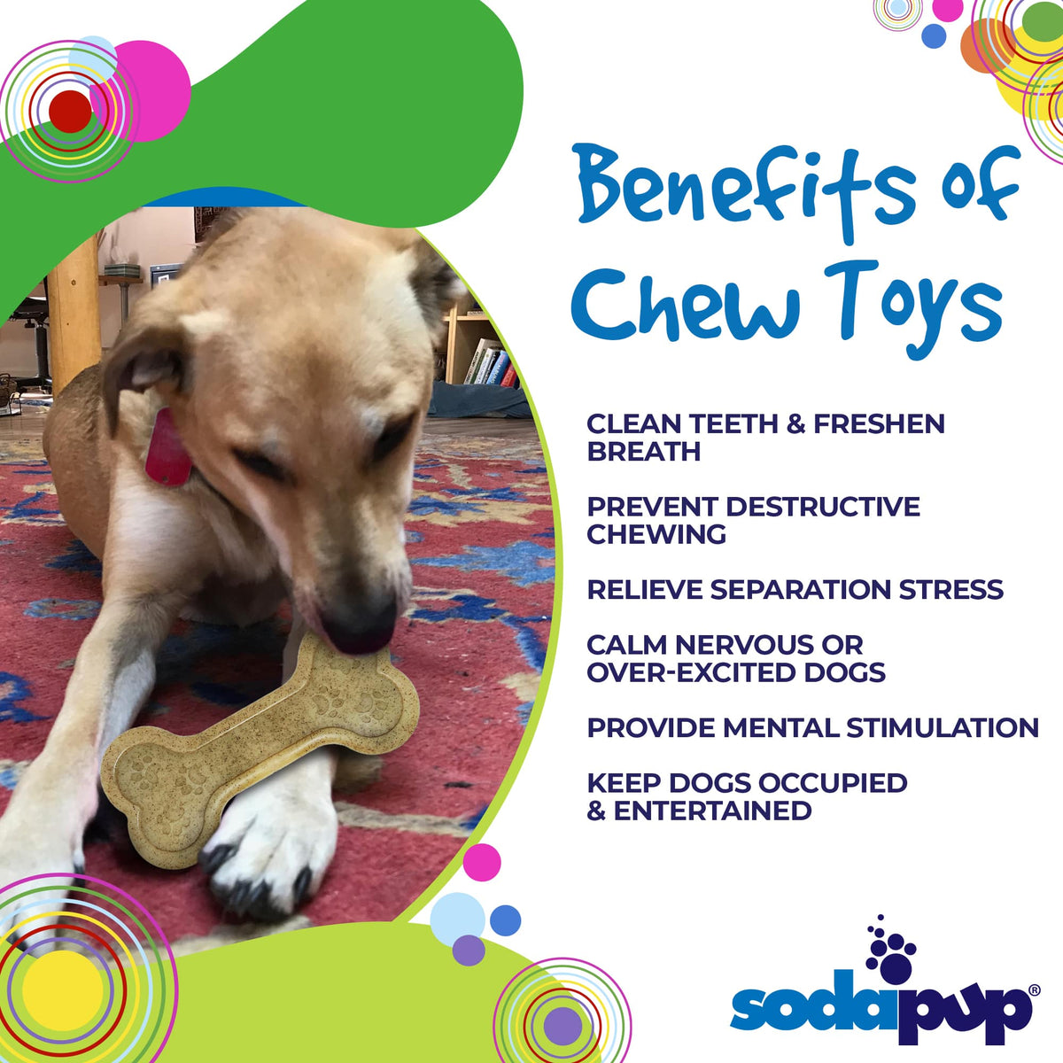 Bone eChew Ultra Durable Nylon Dog Chew Toy for Aggressive Chewers | USA Made