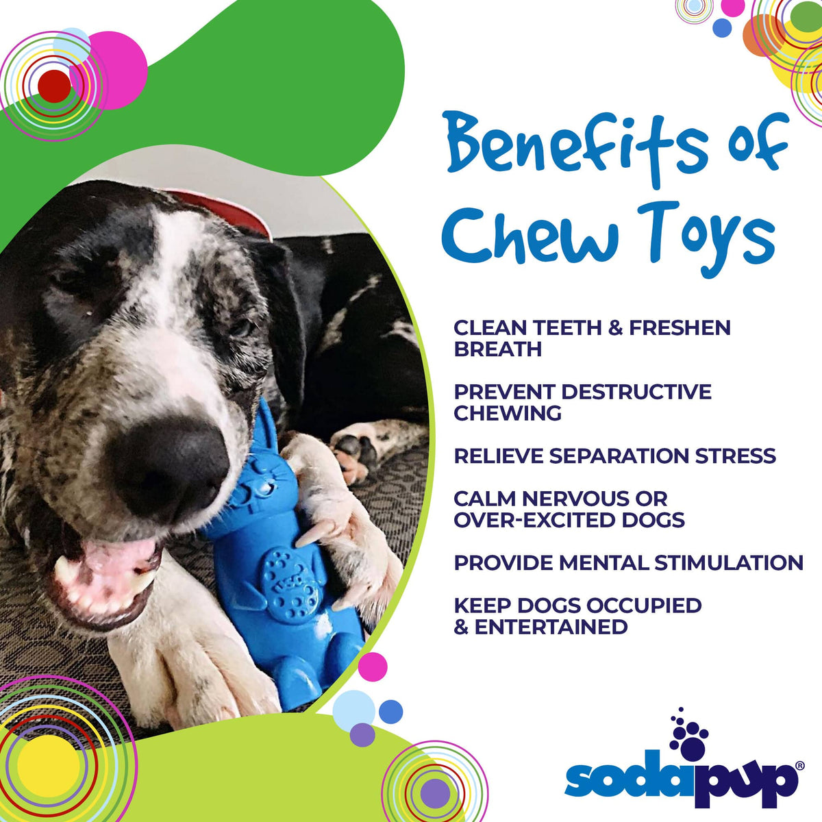 Bunny Nylon Chew Toy for Aggressive Chewers | Durable & USA Made - American Bark Bliss