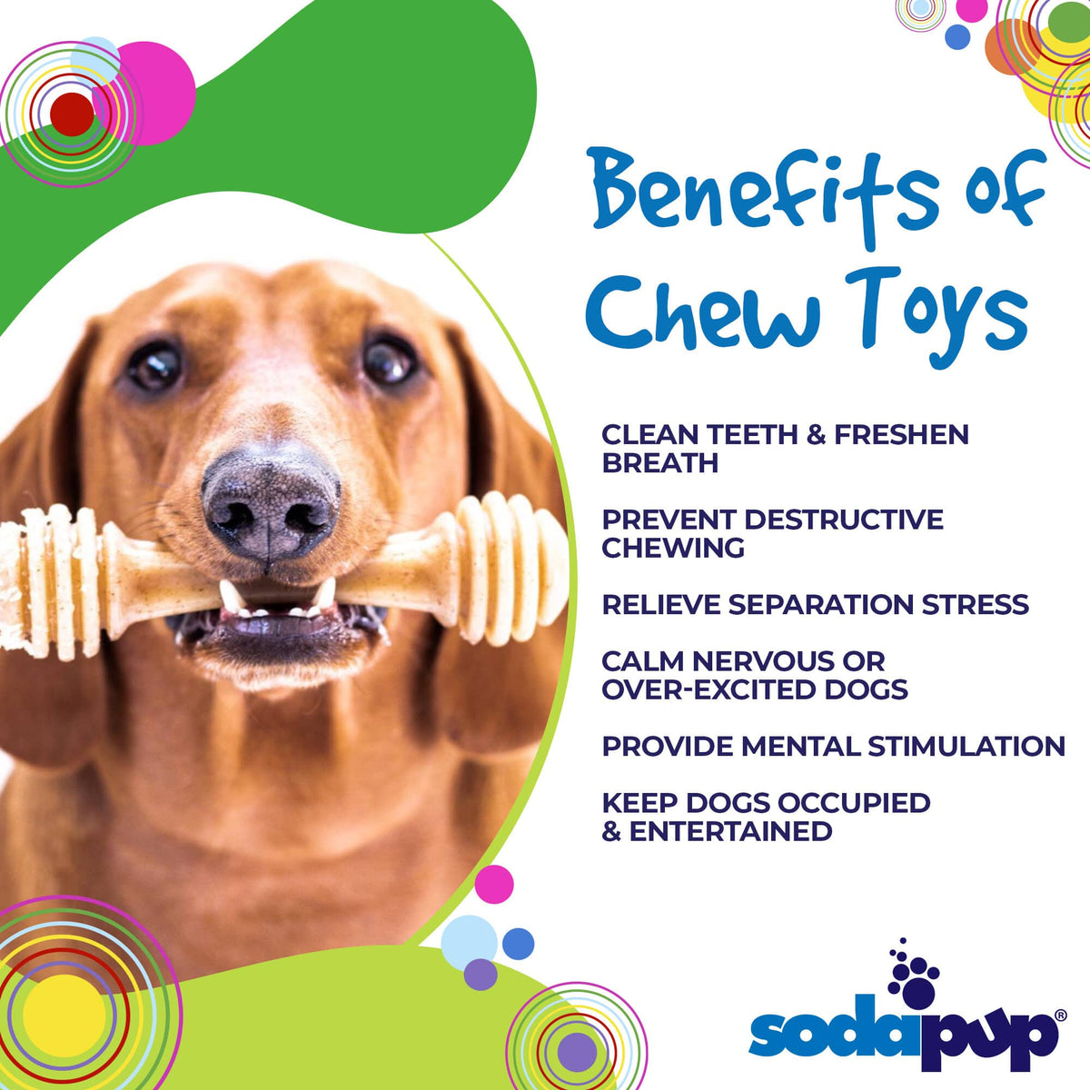 Honey Bone eChew Ultra Durable Nylon Dog Chew Toy - American Bark Bliss