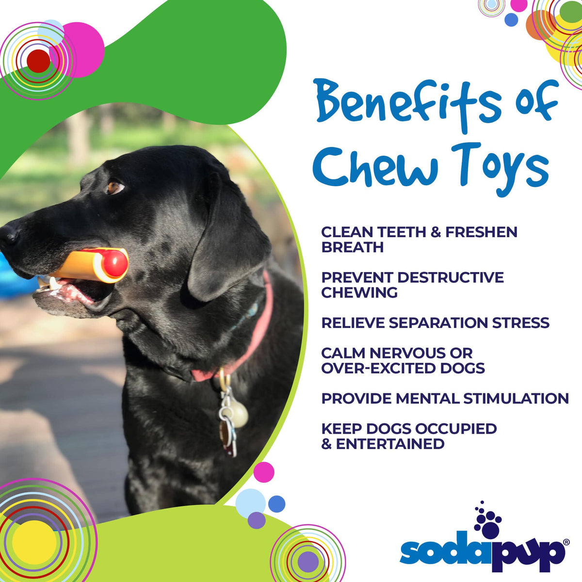 Hot Dog Nylon Dog Toy for Aggressive Chewers | USA Made | SodaPup - American Bark Bliss