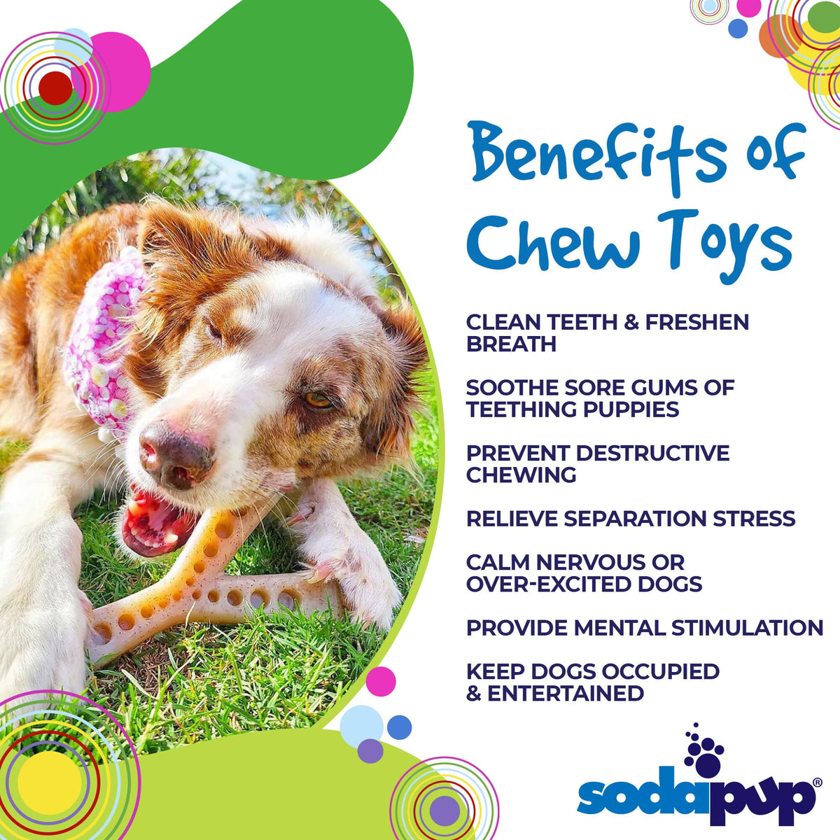 MOD Wishbone Nylon Dog Chew Toy for Aggressive Chewers | USA Made - American Bark Bliss
