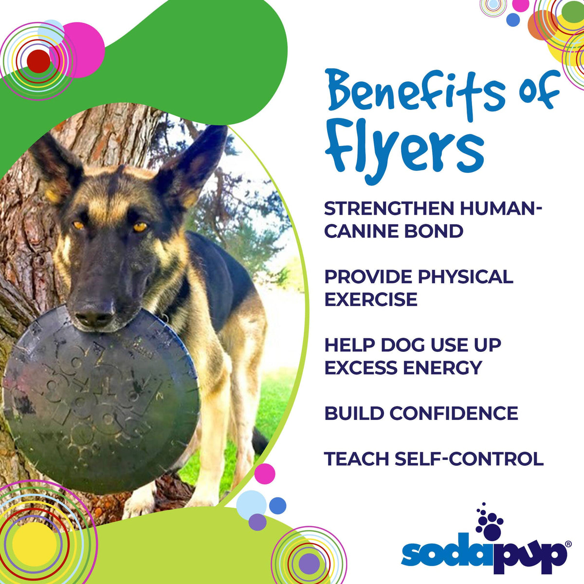 Magnum Bottle Top Flyer Ultra Durable Rubber Retrieving Frisbee - Large - Black - American Bark Bliss