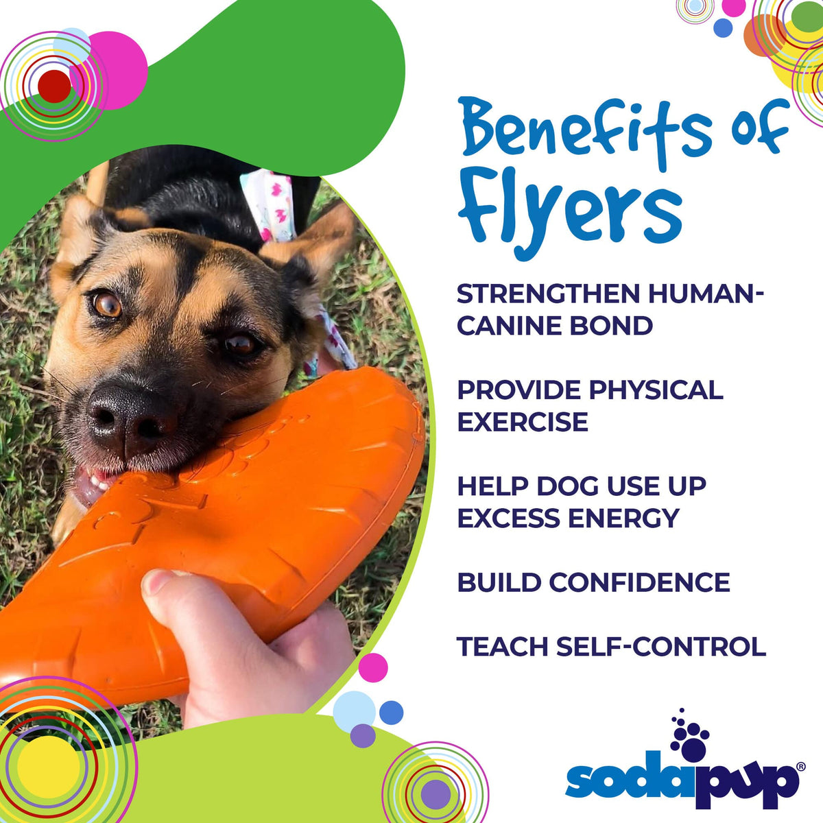 Bottle Top Flyer Durable Rubber Retrieving Frisbee - Orange - American Bark Bliss