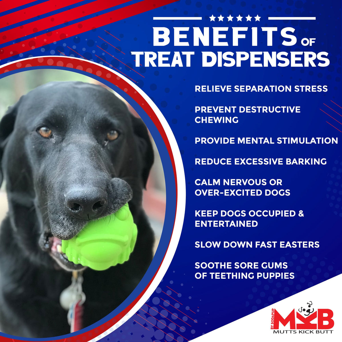 Bull Frog eDispenser Durable Rubber Chew Toy & Treat Dispenser - Large - American Bark Bliss