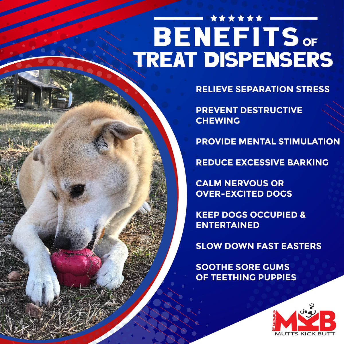 Cupcake eDispenser Durable Rubber Chew Toy & Treat Dispenser - American Bark Bliss