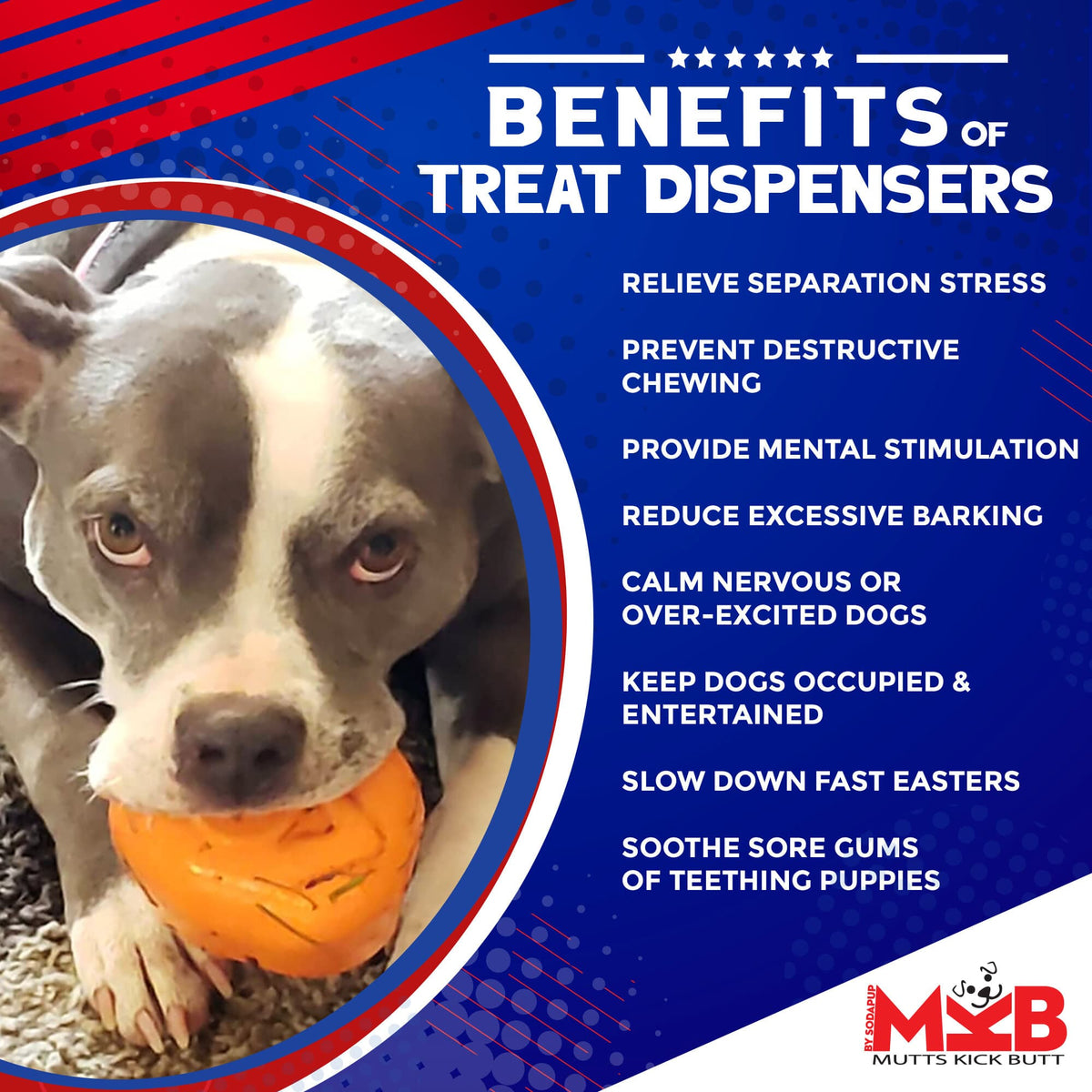 Roasted Turkey eDispenser Durable Rubber Chew Toy & Treat Dispenser - Large - 25% off! - American Bark Bliss