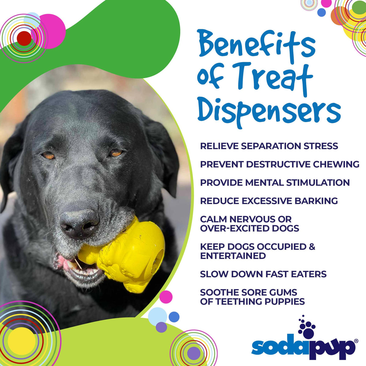 Honey Bear eDispenser Durable Rubber Treat Dispenser - American Bark Bliss