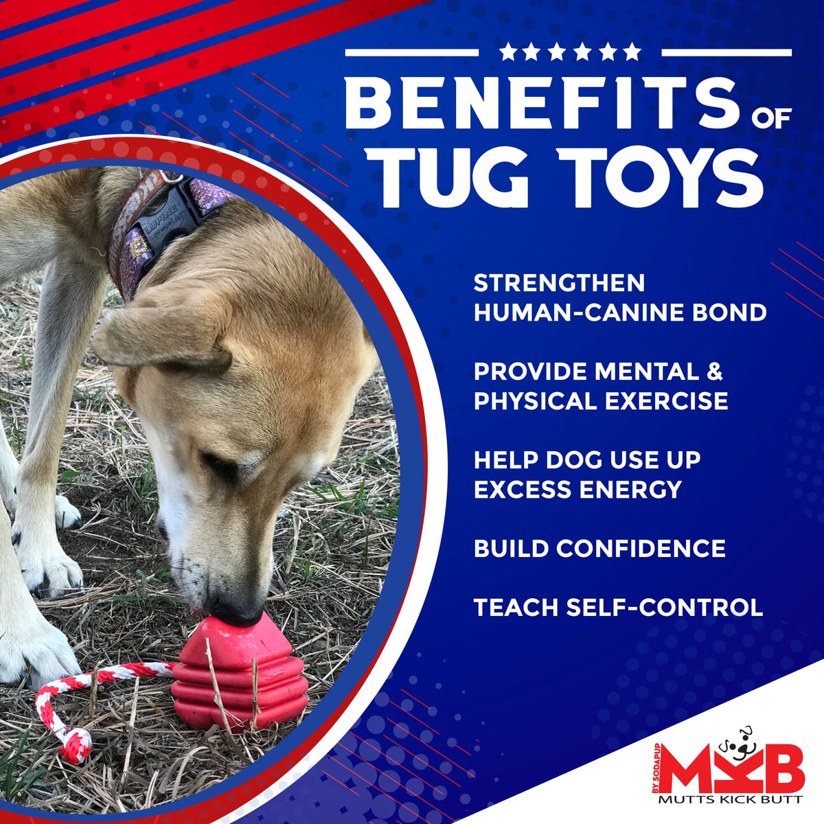 Large Rubber Heart on a String Toy - American Bark Bliss