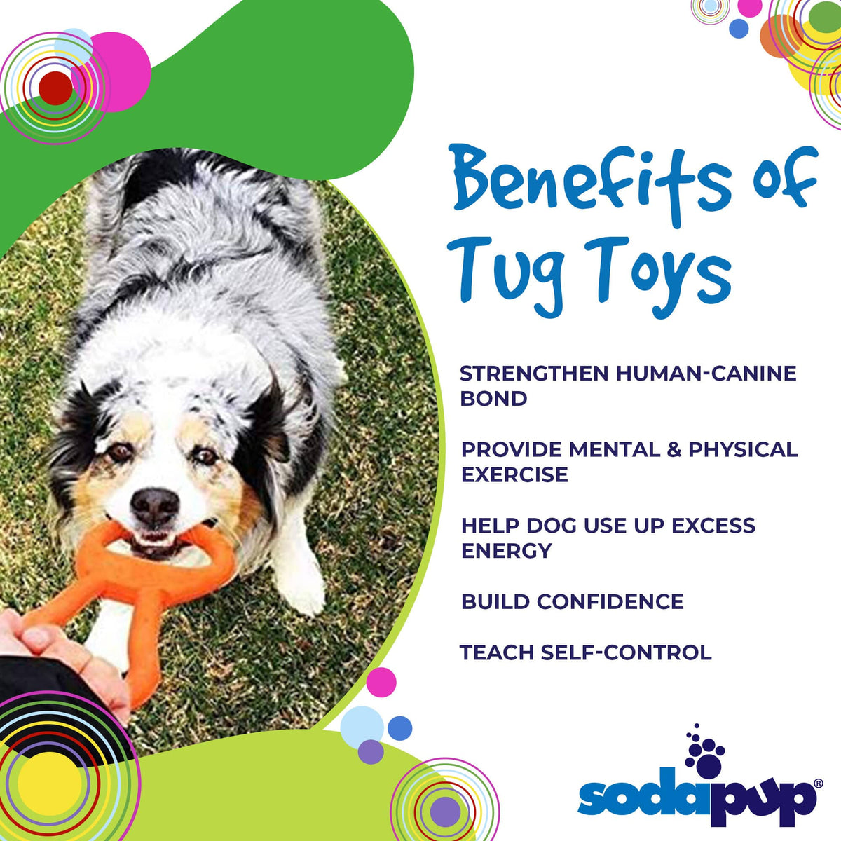 Pop Top Rubber Tug Toy for Interactive Play - American Bark Bliss