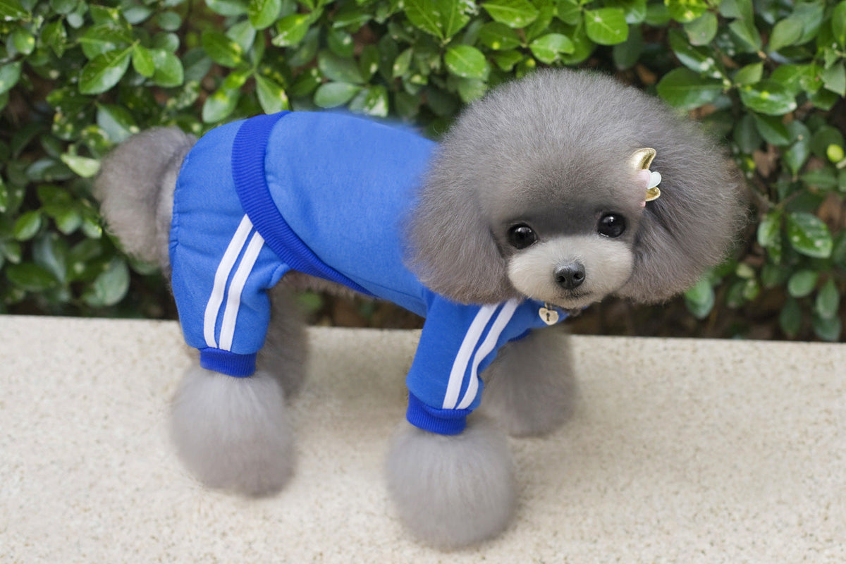 Pet Dog Hoodie Jumpsuit for Small and Medium Dogs - American Bark Bliss