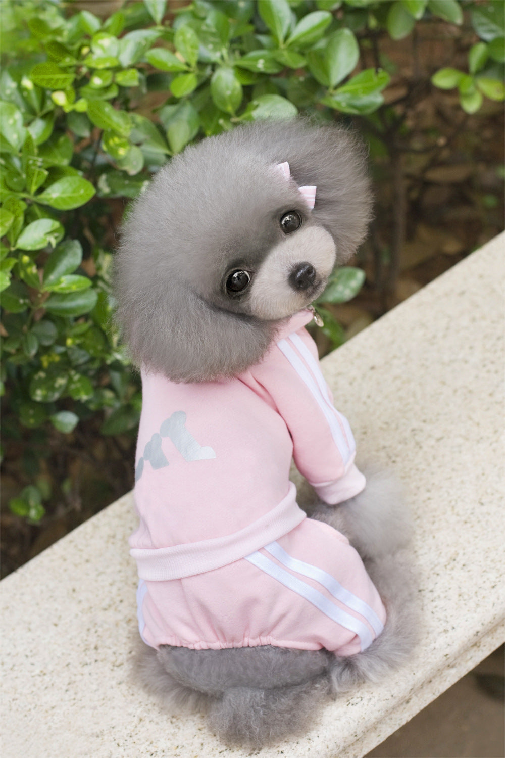 Pet Dog Hoodie Jumpsuit for Small and Medium Dogs - American Bark Bliss