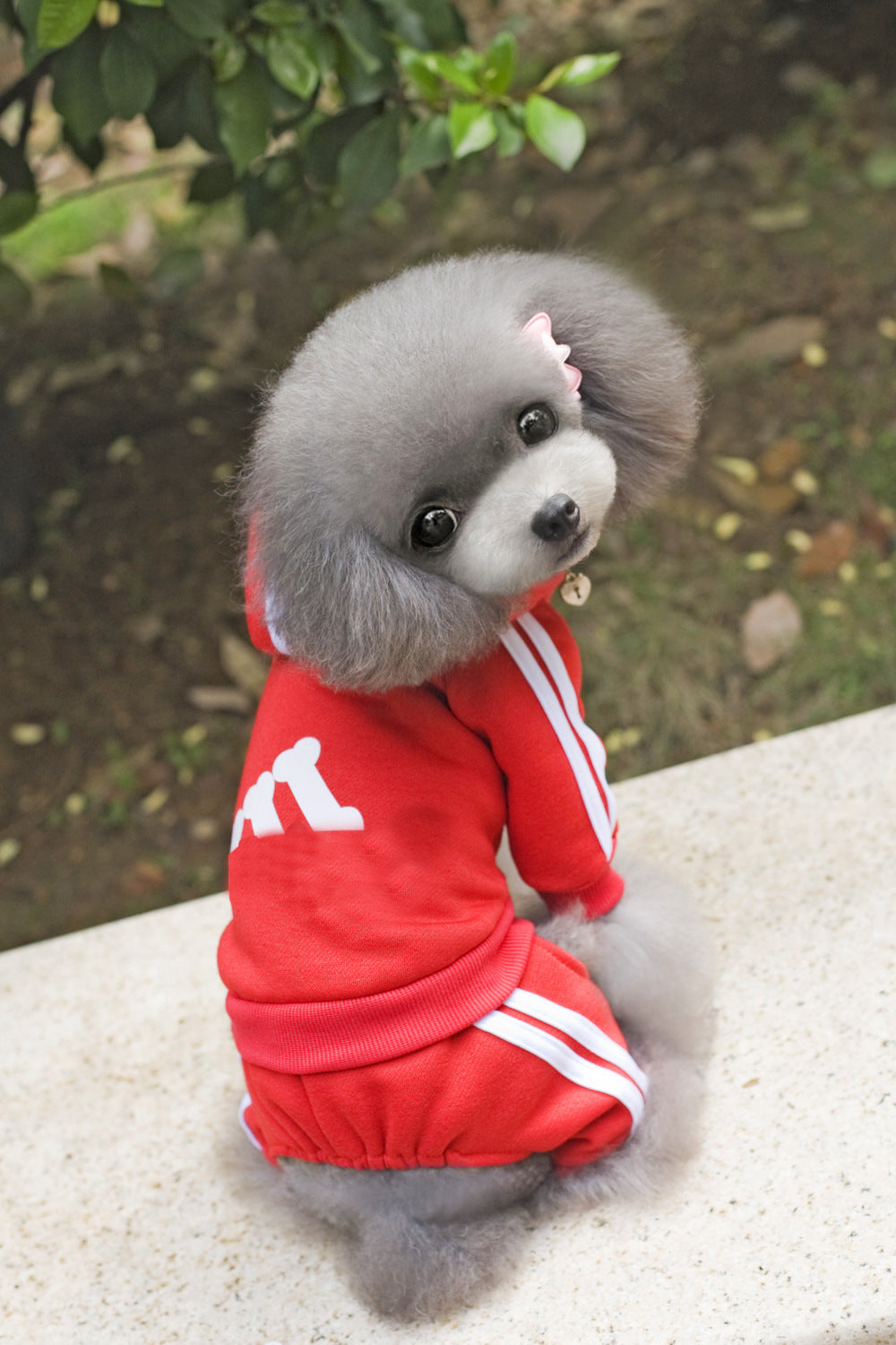 Pet Dog Hoodie Jumpsuit for Small and Medium Dogs - American Bark Bliss