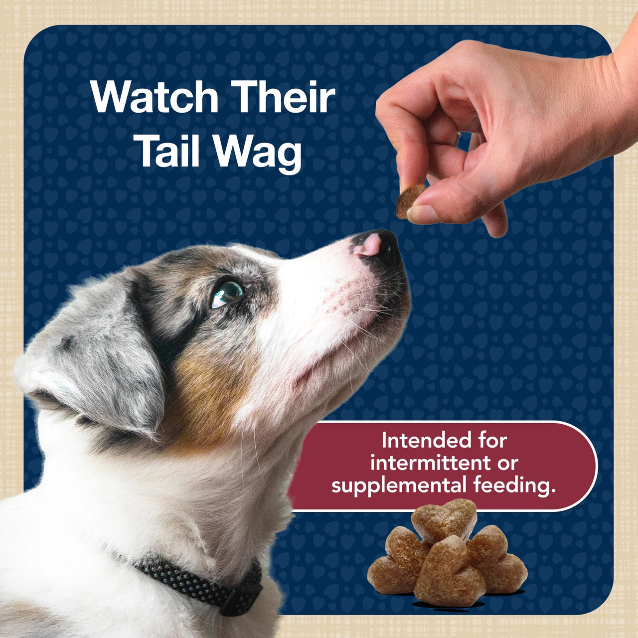 Bits Soft Dog Treats for Training, Enhanced with DHA, 11-Oz. Bag - American Bark Bliss