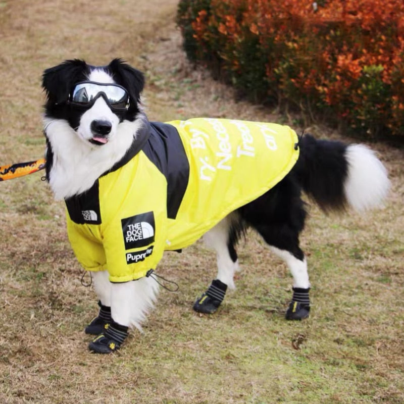 Dog Face Windproof Waterproof Reflective Pet Jacket - American Bark Bliss