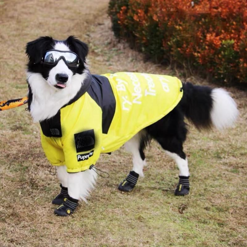 Dog Face Windproof Waterproof Reflective Pet Jacket - American Bark Bliss