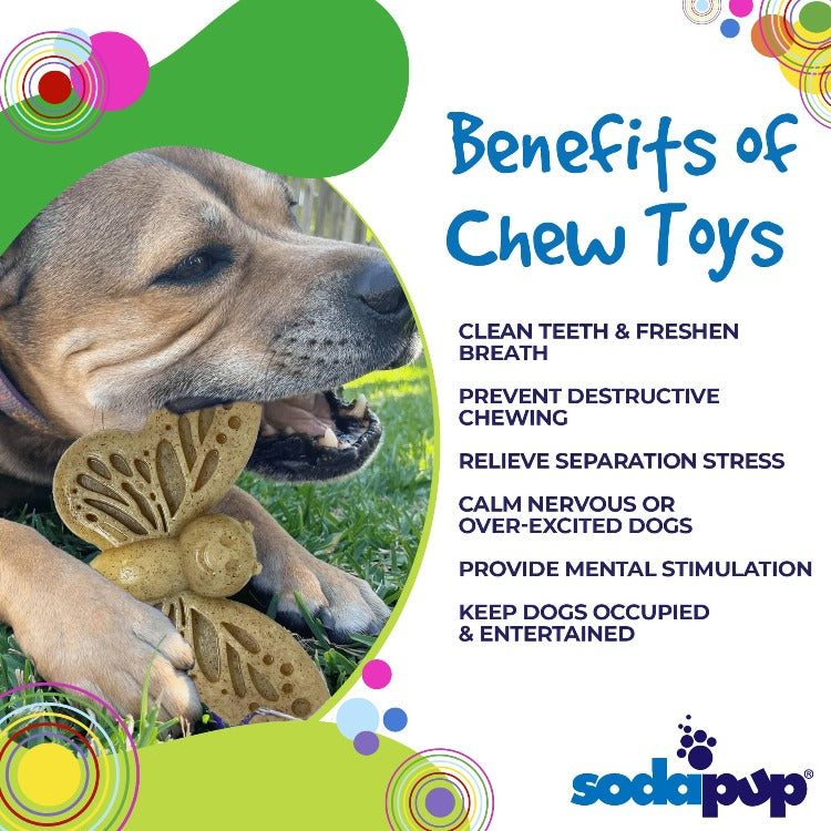 Butterfly Nylon Chew & Enrichment Toy | 2-in-1 for Aggressive Chewers | SodaPup - American Bark Bliss