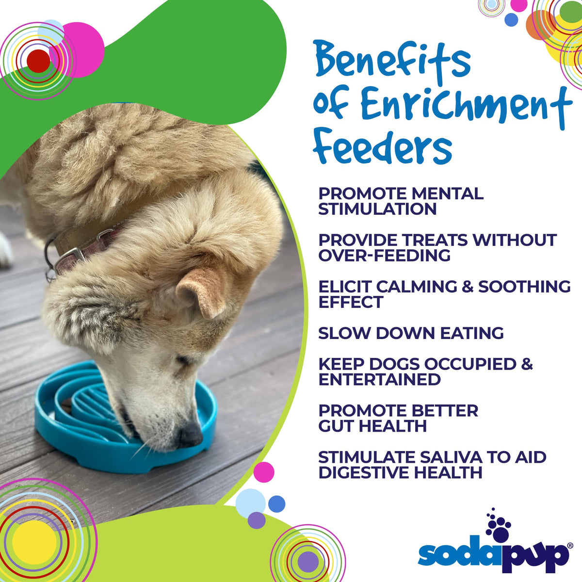 Baja Design eTray - Shallow Slow Feeder Dog Bowl for Enrichment | USA Made - American Bark Bliss