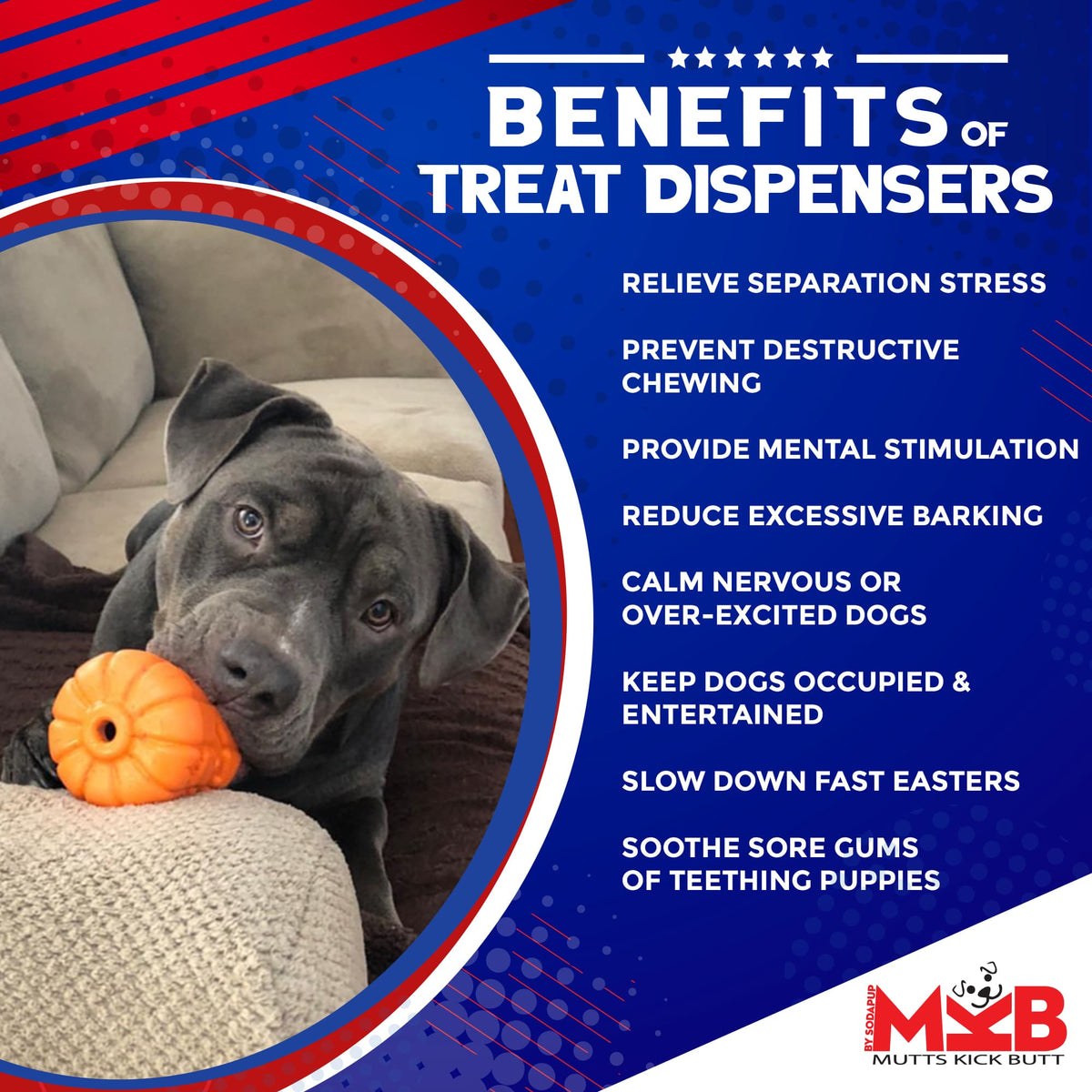 Jack O' Lantern eDispener Durable Rubber Chew Toy & Treat Dispenser - American Bark Bliss