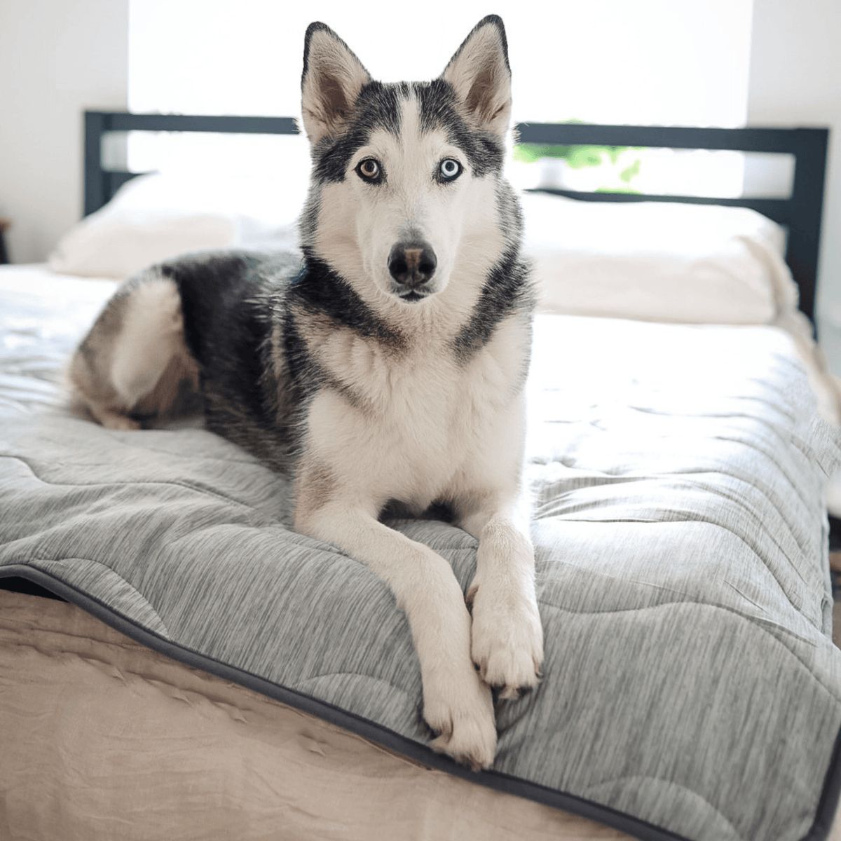 PupChill™ Cooling Waterproof Dog Blanket - Arctic Grey - American Bark Bliss
