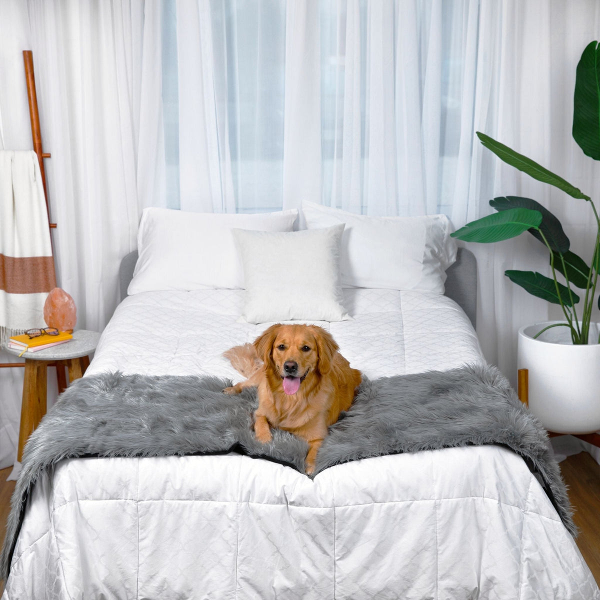 Waterproof Dog Bed Runner - PupProtector™ Charcoal Grey - American Bark Bliss