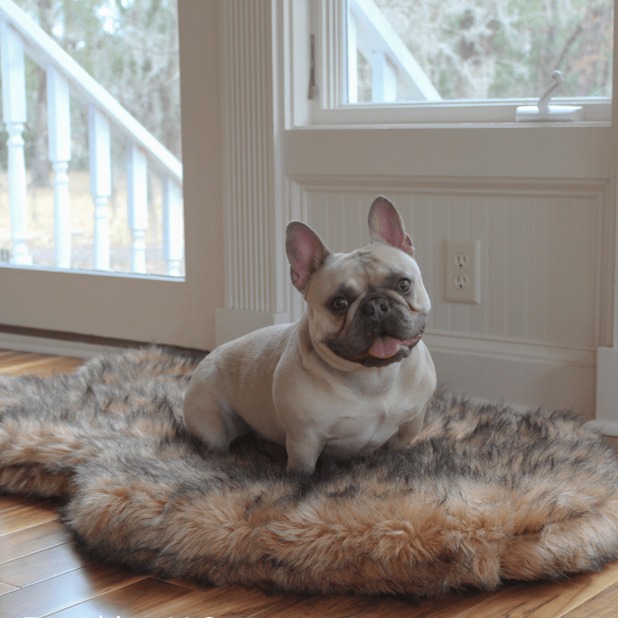 PupRug by Paw.com® Faux Fur Orthopedic Dog Bed - Curve Sable Tan - American Bark Bliss