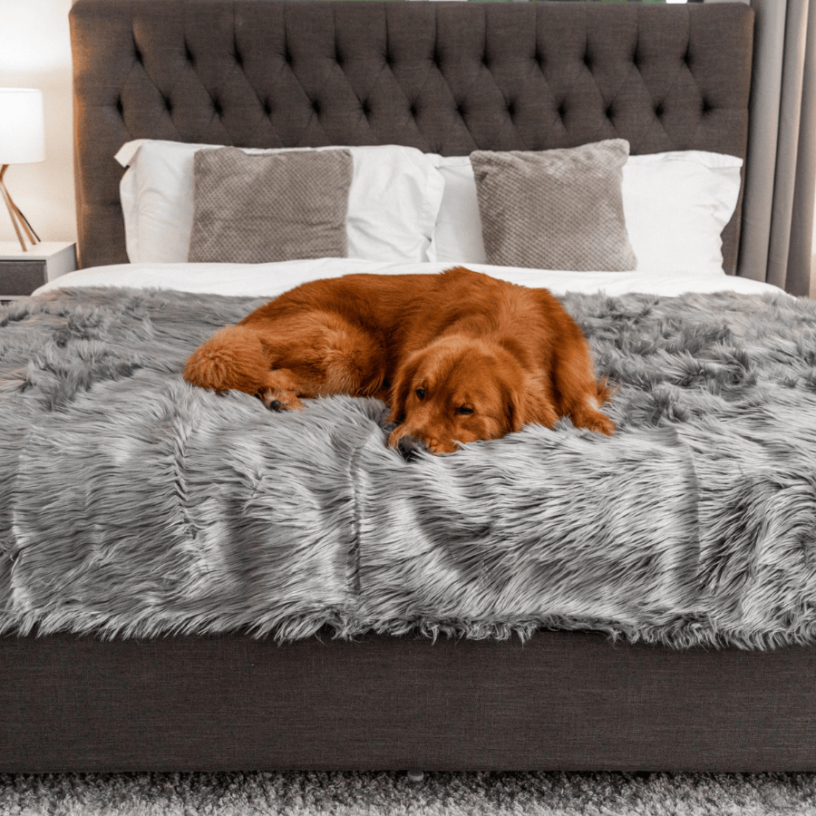 Waterproof Dog Throw Blanket - Protect Your Furniture - American Bark Bliss