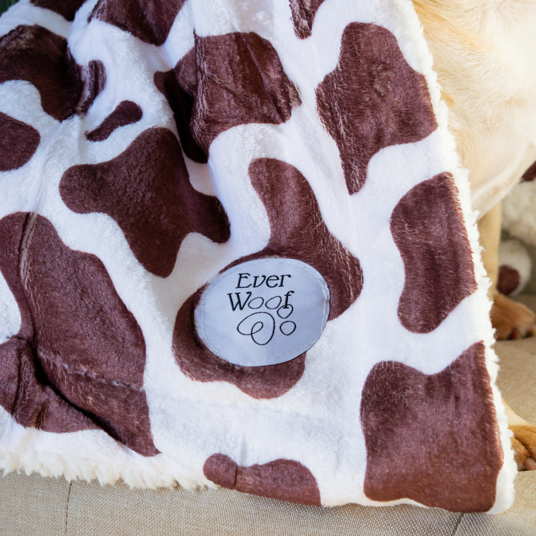 Chocolate Cow Dog Blanket - American Bark Bliss