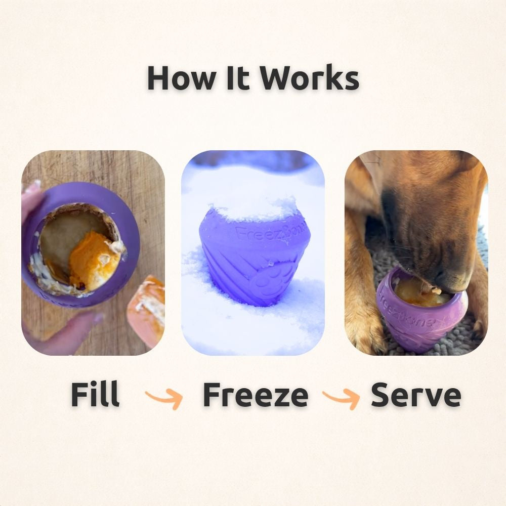 FreezCone – The Ice-Cream–Shaped Enrichment Dogs Can’t Put Down