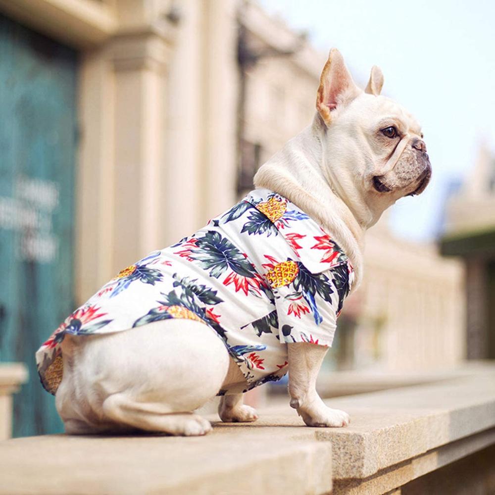 Stylish Hawaiian Dog Shirts for Summer by Furr Baby Gifts