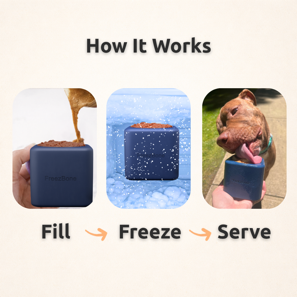Freezbox - Super Tough Treat Toy