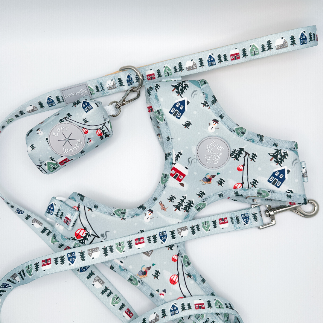 Snowy Slopes Leash - American Bark Bliss