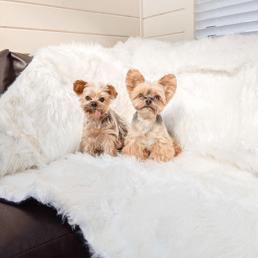 PupProtector Waterproof Dog Blanket - Polar White - American Bark Bliss