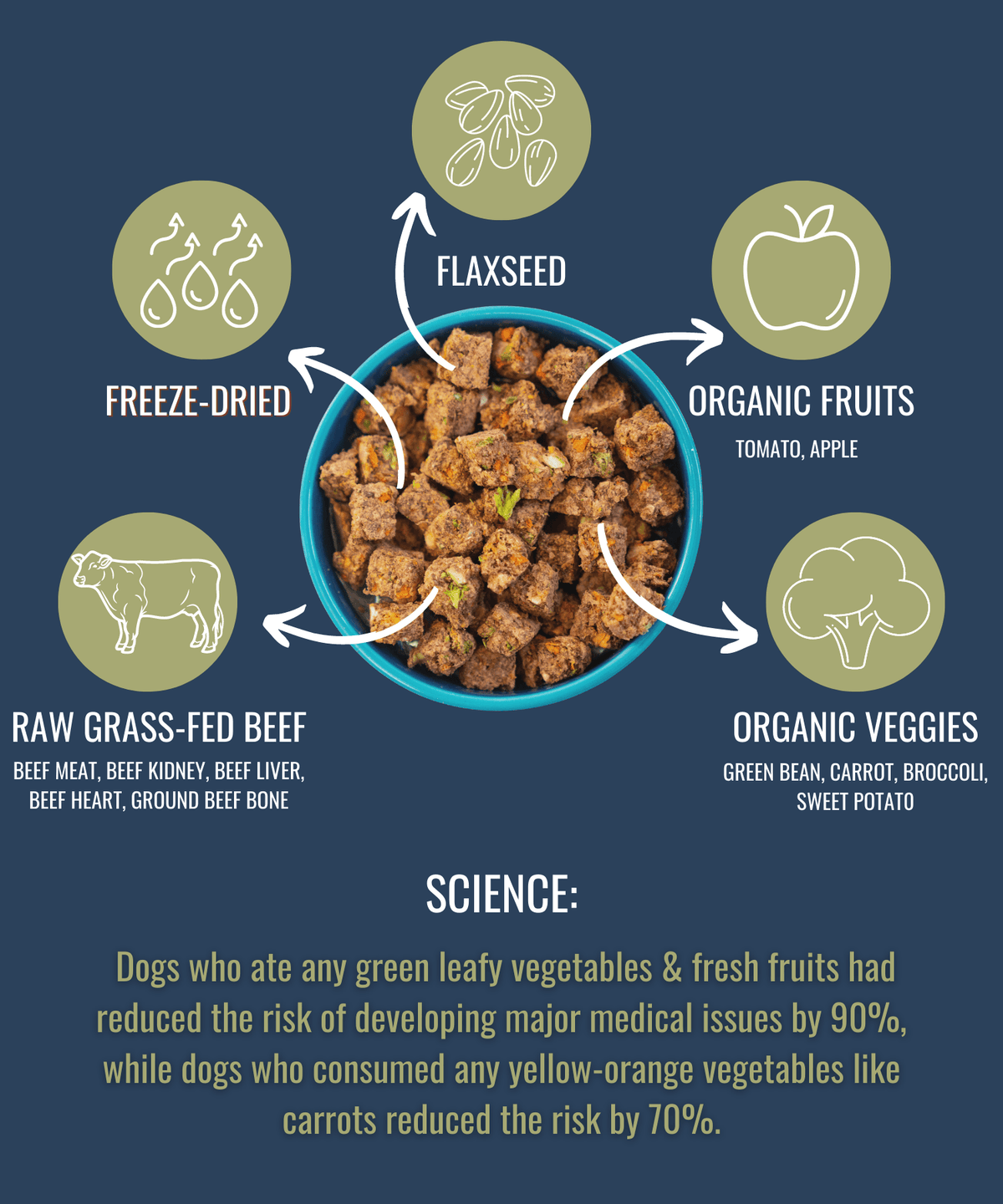 Raw Freeze Dried Dog Food Beef - All-Natural Nutrition - American Bark Bliss