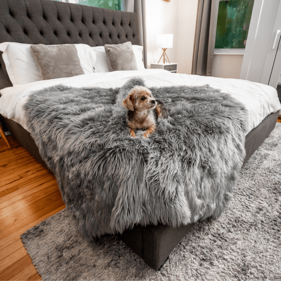 Waterproof Dog Throw Blanket - Protect Your Furniture - American Bark Bliss