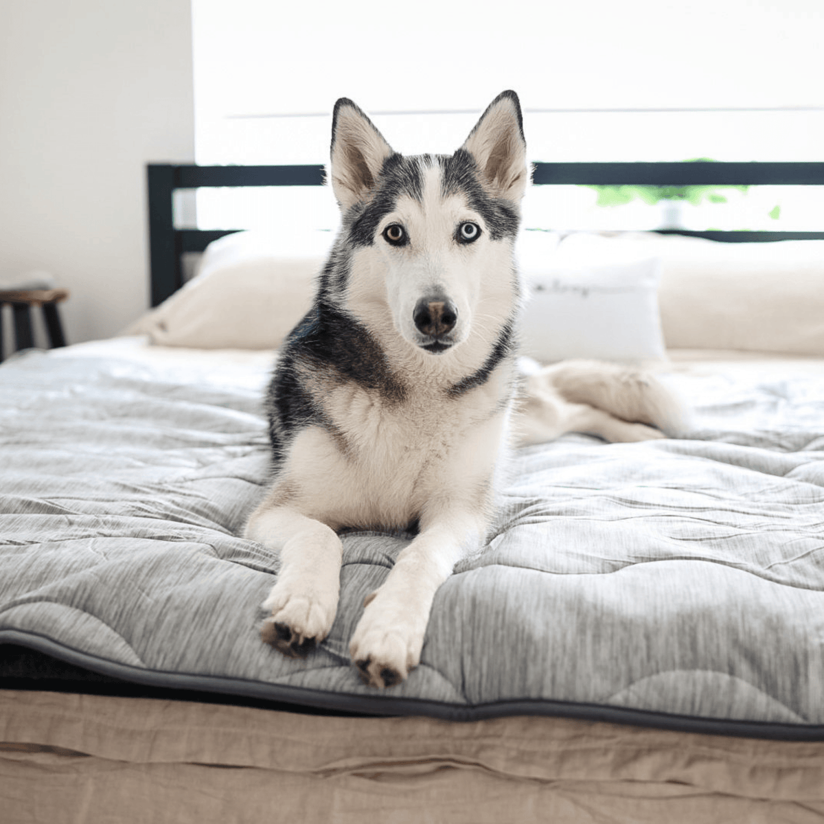 PupChill™ Cooling Waterproof Dog Blanket - Arctic Grey - American Bark Bliss