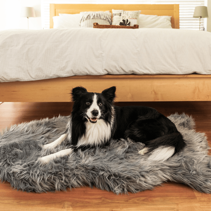 PupRug by Paw.com® Faux Fur Orthopedic Dog Bed - Curve Charcoal Grey - American Bark Bliss