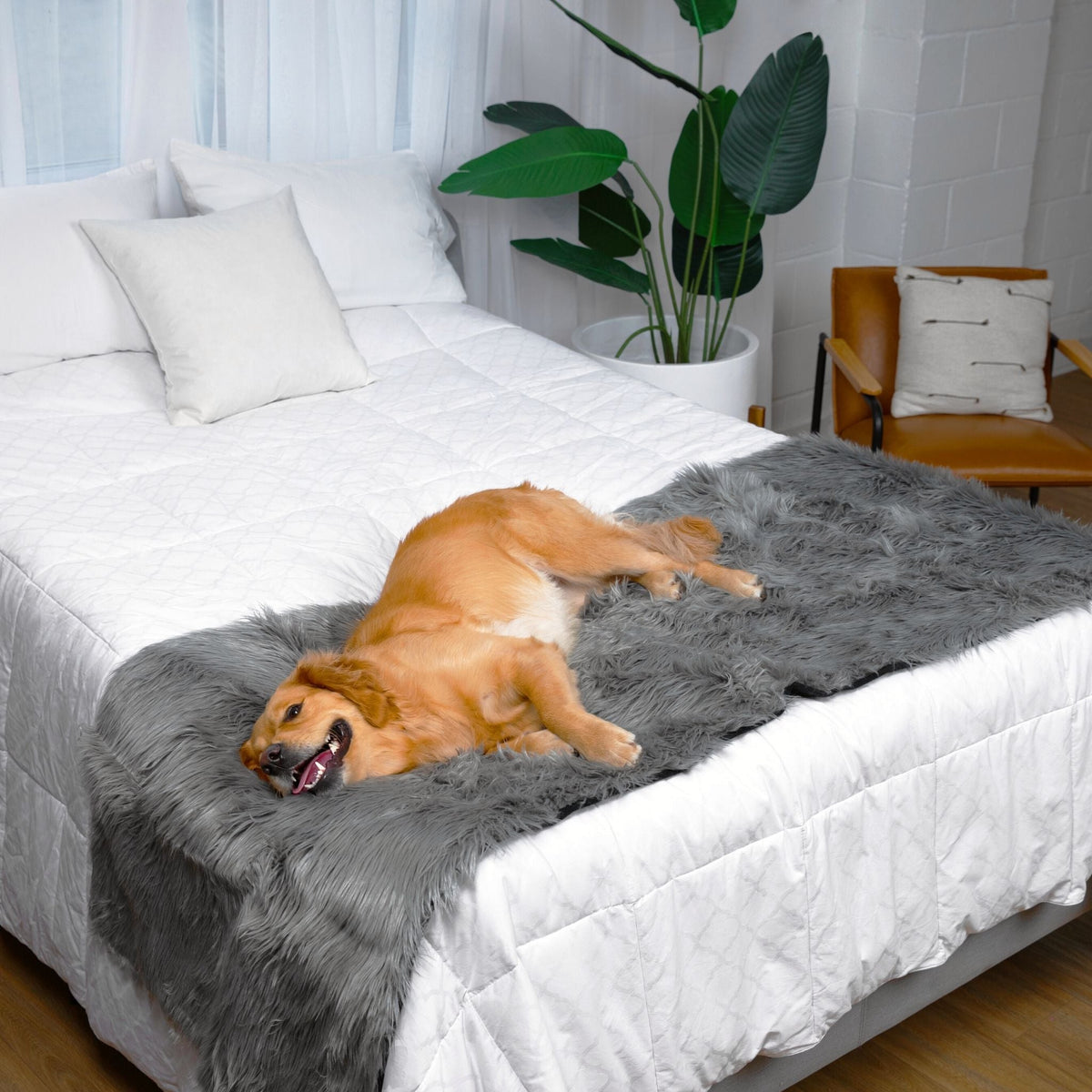 Waterproof Dog Bed Runner - PupProtector™ Charcoal Grey - American Bark Bliss